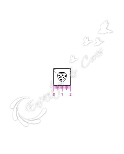 CARIMBO ENCANTOS E CORES BASE ACRILICO MORANGO CUTE P-36