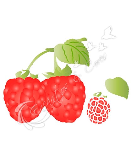 STENCIL LITOARTE STXX-215 FRUTA CONDE